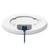 Teltonika TAP200, двухдиапазонная точка доступа Wi-Fi 5
