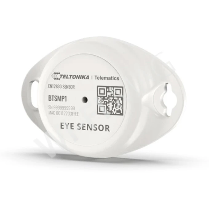 Teltonika BTSMP1 EYE EN12830, многофункциональный датчик с Bluetooth
