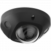 Hikvision DS-2CD2546G2-IS(2.8mm)(C)(BLACK) 4 Мп купольная IP-видеокамера